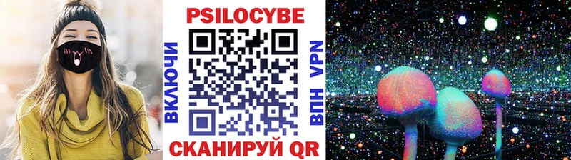 Псилоцибиновые грибы мицелий  Купить где  Краснообск 