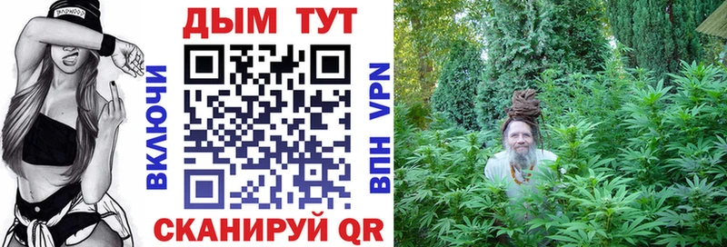 Купить закладки  Краснообск  Каннабис гибрид 